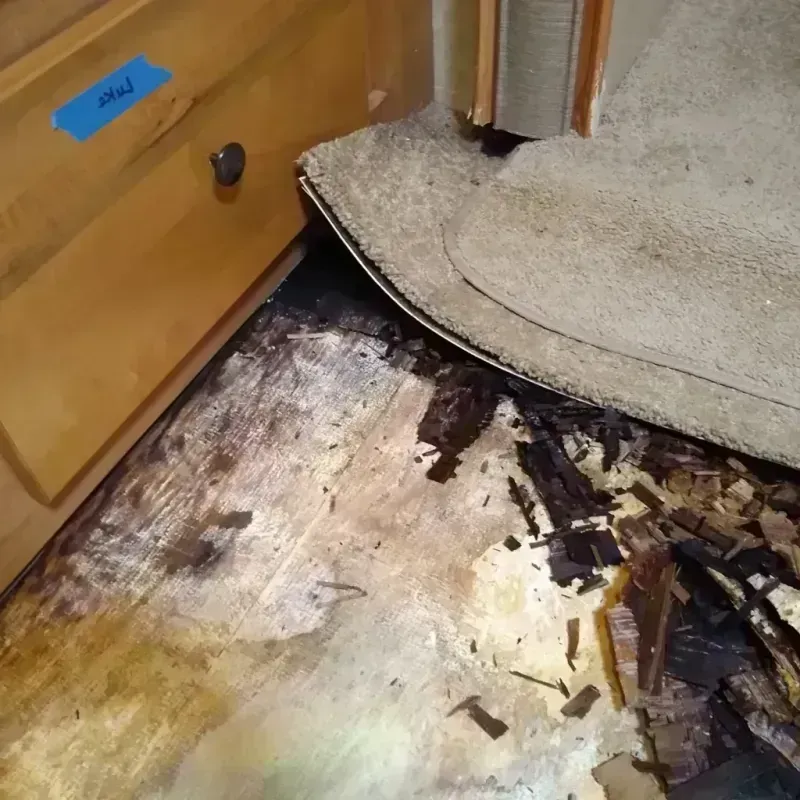 Wood Floor Water Damage in Spring Valley, AZ